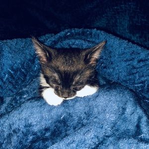 Meet your Posher, Abril